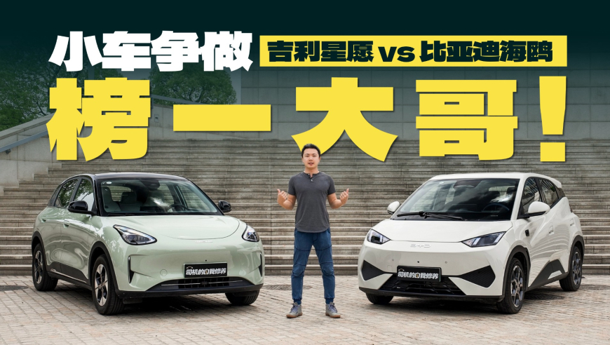 两只狗狗吵架但还是要睡在一起,澳门六彩开奖,收益成语分析落实_精简版V12.75